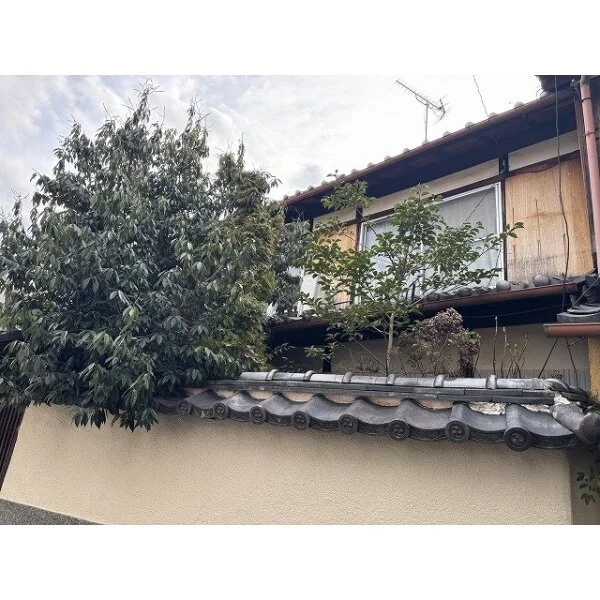 京都市左京区下鴨松ノ木町 その他画像