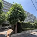 フランヴィーヴル富士見台 外観