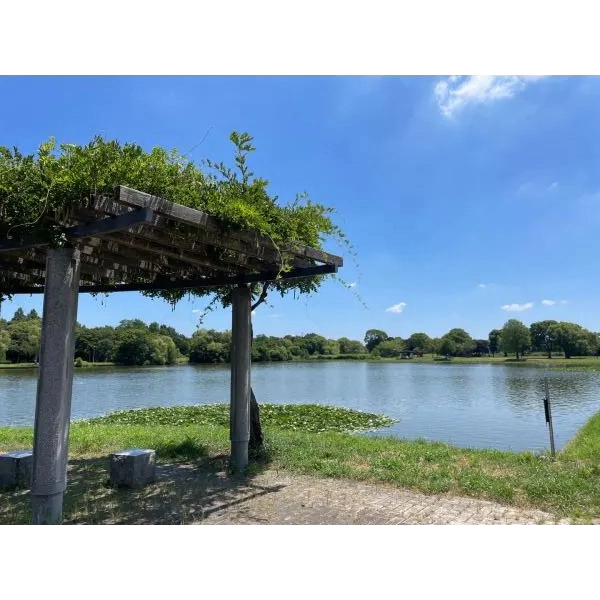 ルイシャトレ水元公園パークサイド 水元公園（公園）まで約190m（徒歩3分）
