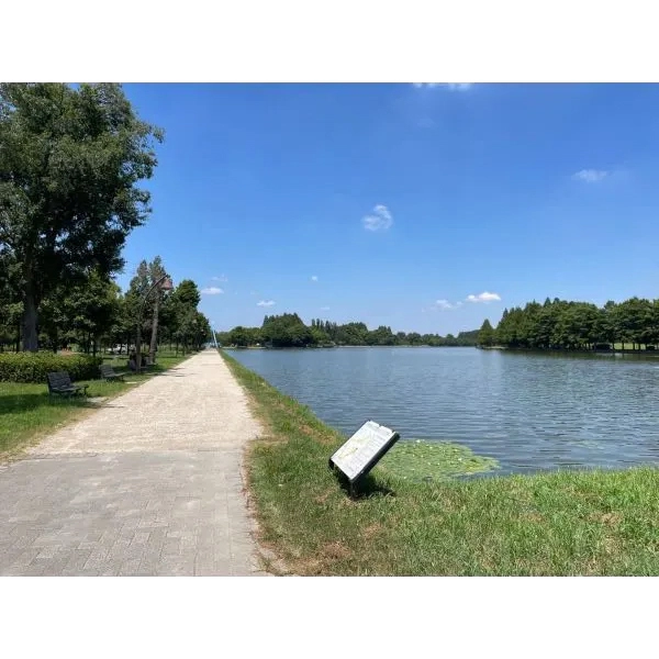 ルイシャトレ水元公園パークサイド 水元公園（公園）まで約190m（徒歩3分）