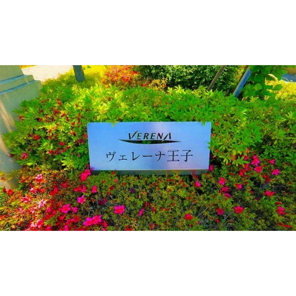ヴェレーナ王子 その他画像