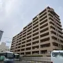 アパガーデンコート綾瀬 その他画像