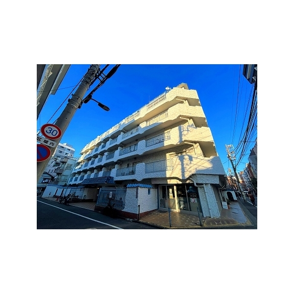 マンションＶＩＰ新宿柏木 外観