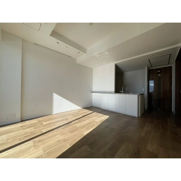 ザ・パークハウス晴海タワーズティアロレジデンス その他画像