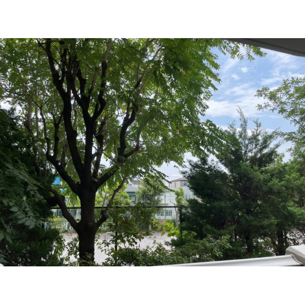 東砂三丁目ハイツ６号棟 南向きバルコニーからの眺望