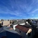 ジュネス大森中央 その他画像
