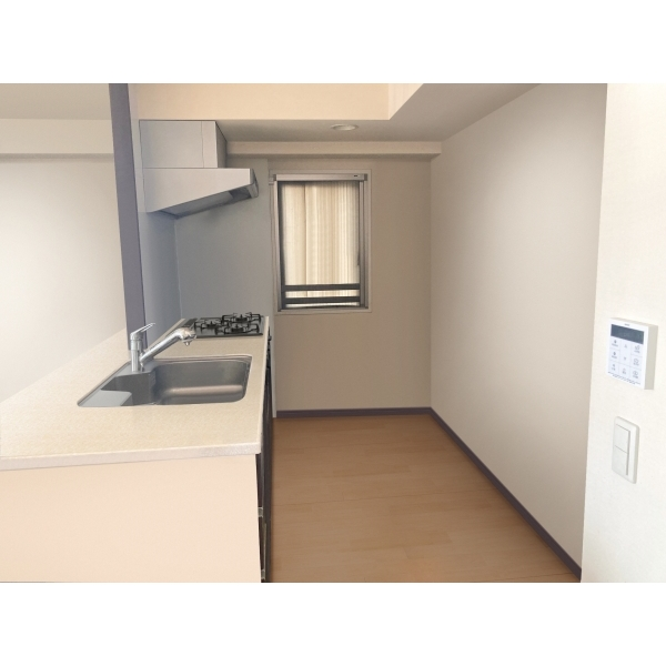 グランレグナス その他画像