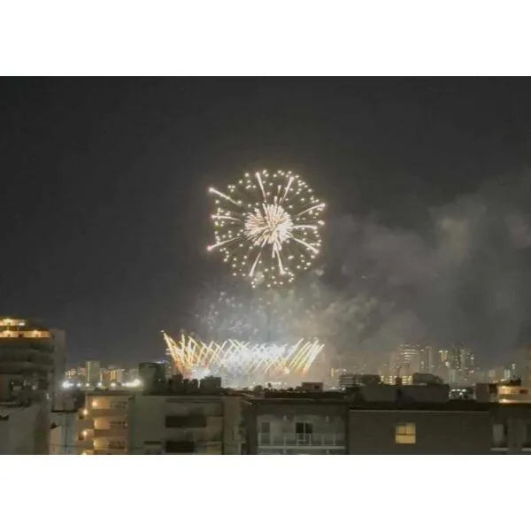 グランイーグル多摩川VI 大田区平和祈念花火：バルコニーからの花火(撮影年月：2025年08月)