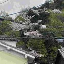 京都市東山区今熊野南日吉町 その他画像