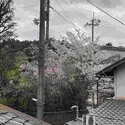 京都市東山区今熊野南日吉町 その他画像