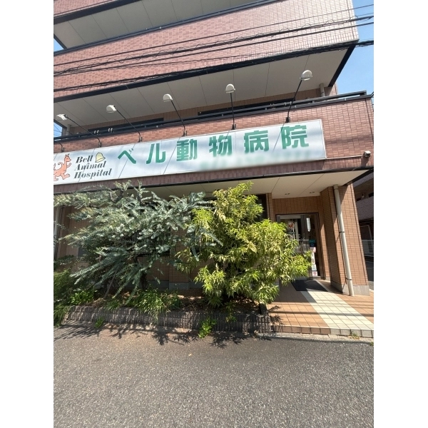 横浜市鶴見区上末吉５丁目 「ベル動物病院」まで徒歩約7分（病院）まで約500m（徒歩7分）