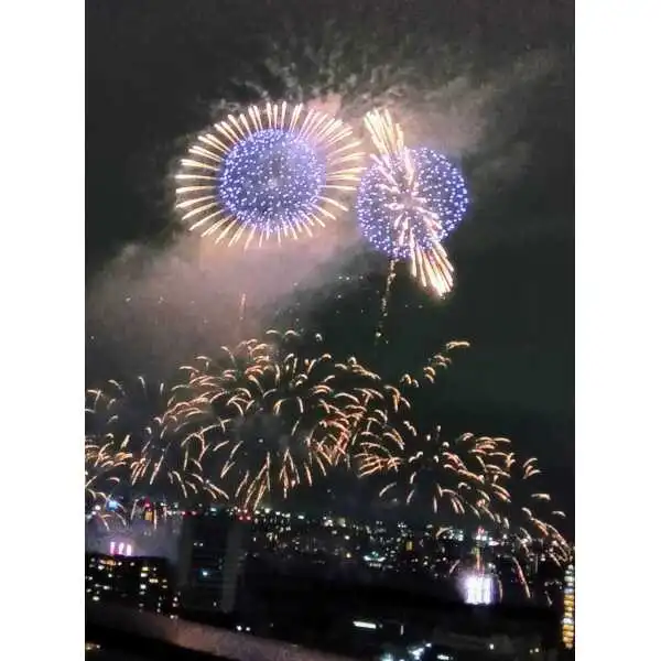 グランドメゾン新梅田タワー　ＴＨＥ　ＣＬＵＢ　ＲＥＳＩＤＥＮＣＥ その他画像