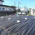 横浜市旭区今宿１丁目 その他画像