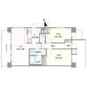ライオンズマンション上落合 間取
