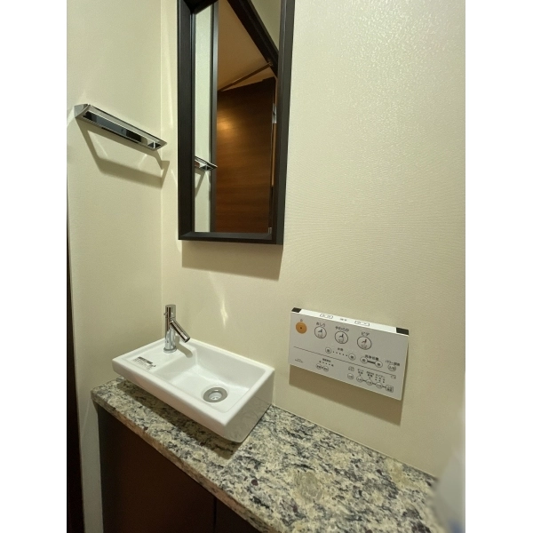 ザ・セントラルマークタワー トイレ内洗面台