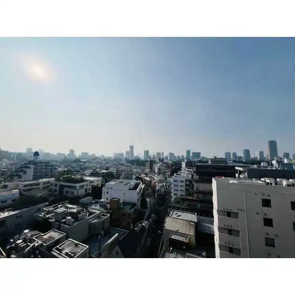 ライオンズマンション西麻布シティ その他画像