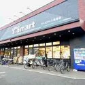 浦安市高洲３丁目 ワイズマート高洲店まで約300ｍ