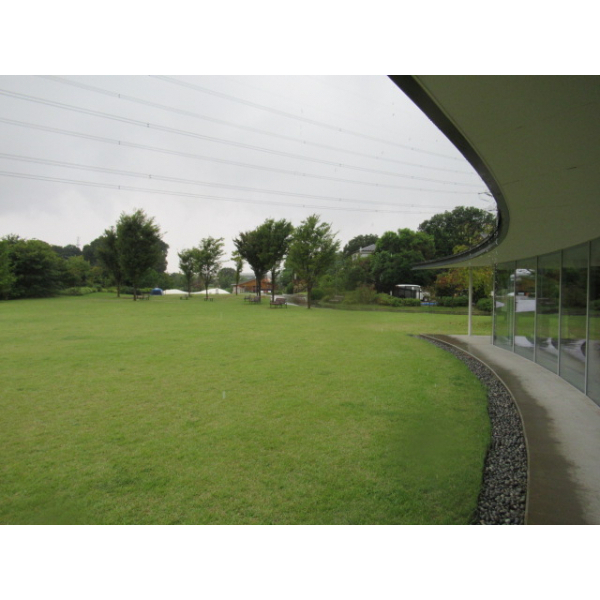 川口市桜町３丁目 その他画像