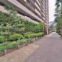 ルネ潮見 緑が豊富な敷地。管理体制良好。夜間は警備員常駐。