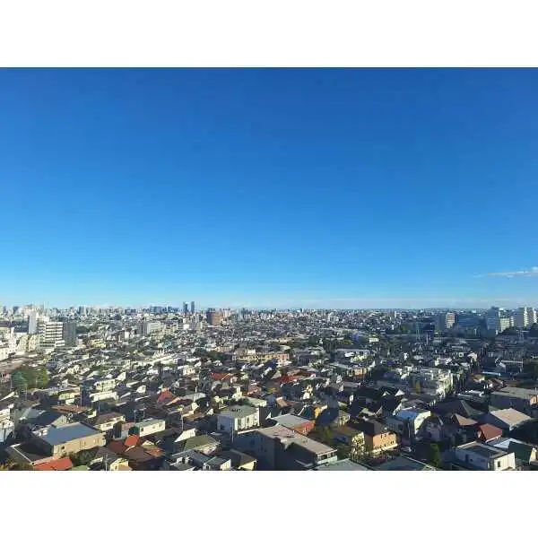 シティタワー駒沢大学ステーションコートタワー棟 その他画像