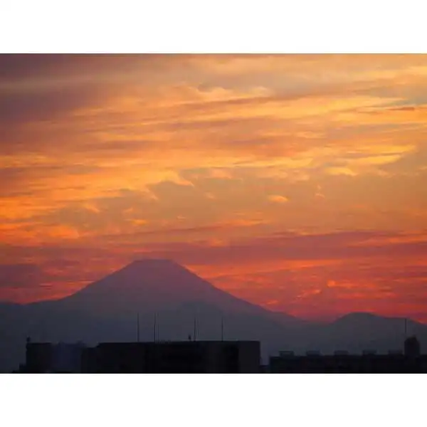 パークホームズ練馬豊島園ステーションプレミア その他画像