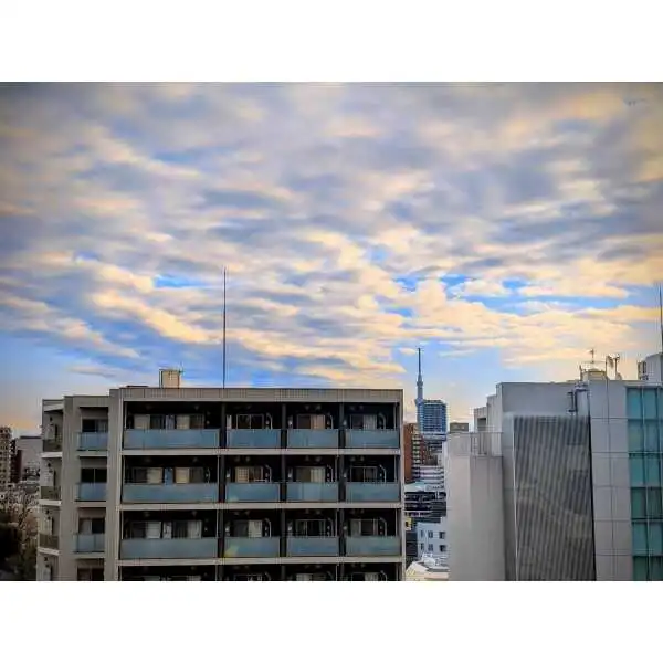 アトラスタワー小石川 その他画像