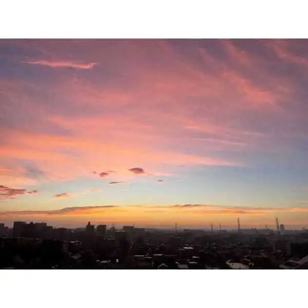 イニシア南浦和根岸 その他画像