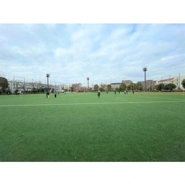 板橋区蓮根１丁目 城北公園（公園）まで約700m（徒歩9分）