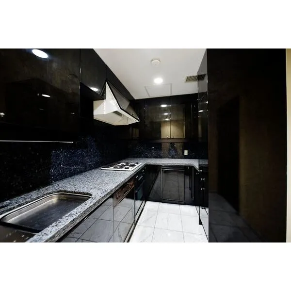 堂島川アーバンライフ その他画像