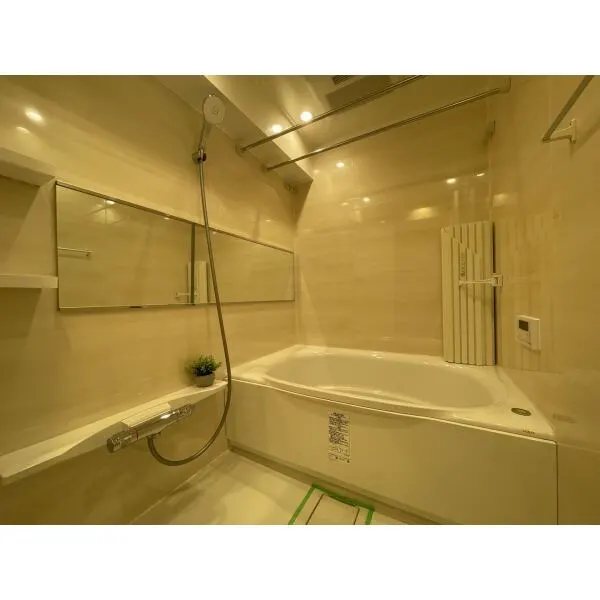 ハイネスロフティ― 浴室