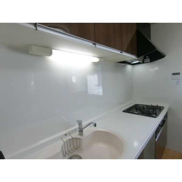 京都市左京区二条通川端東入２丁目杉本町 その他画像