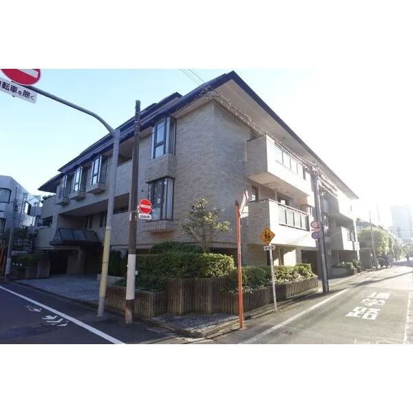 ヒルズ砂土原 重厚感のある外観
