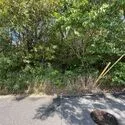 名古屋市守山区翠松園３丁目 その他外観
