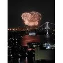勝どき　ザ・タワー 2026年5月にお台場海浜公園で開催された花火大会の様子でございます。