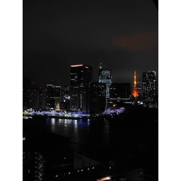 勝どき　ザ・タワー 東京タワーと竹芝桟橋を望むことができます。(天候による)