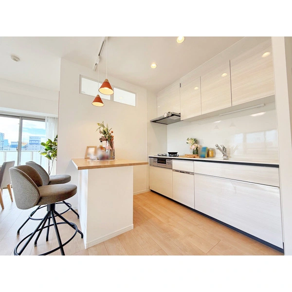 パレステージ上野 その他画像