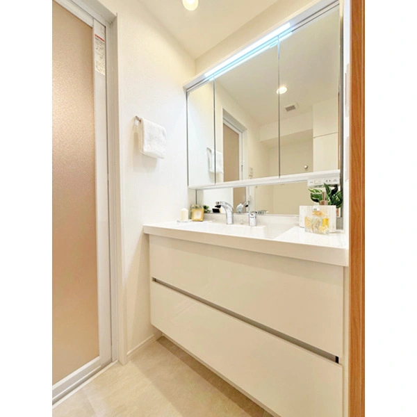 パレステージ上野 その他画像