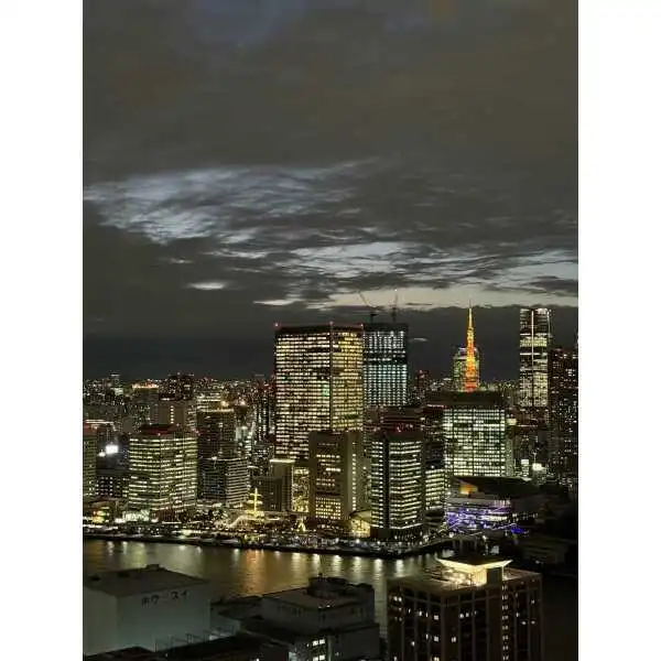 ＴＨＥ　ＴＯＫＹＯ　ＴＯＷＥＲＳＳＥＡ その他画像