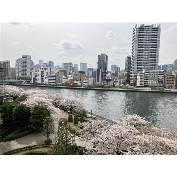 スカイライトタワー その他画像