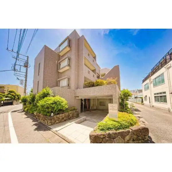 東急ドエル・アルス目黒学芸大学 その他画像