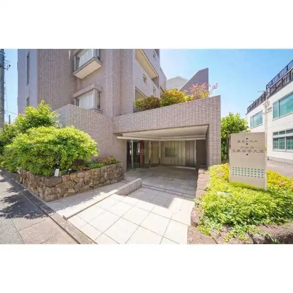 東急ドエル・アルス目黒学芸大学 その他画像