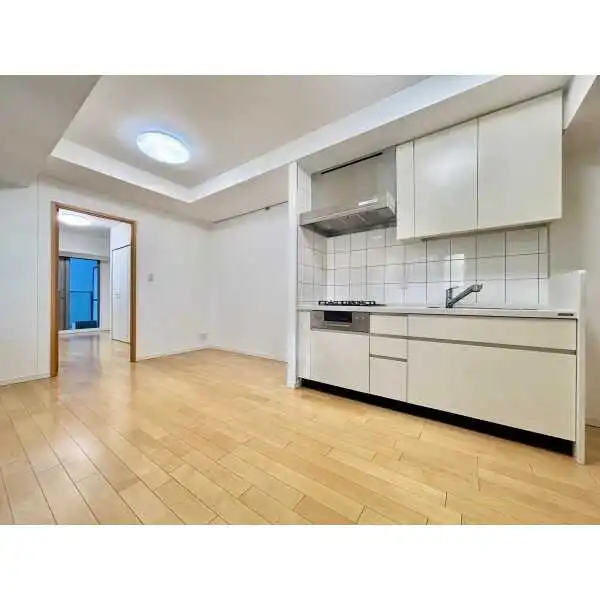 アトラス四谷レジデンス その他画像