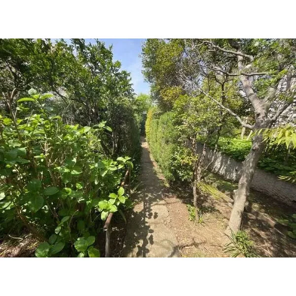 鎌倉市鎌倉山２丁目 通路