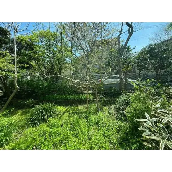 鎌倉市鎌倉山２丁目 その他外観