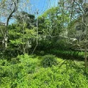 鎌倉市鎌倉山２丁目 その他外観