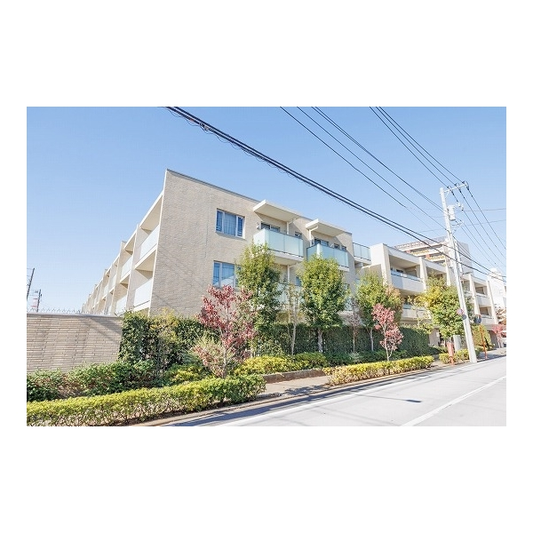 ザ・テラス下目黒 その他画像