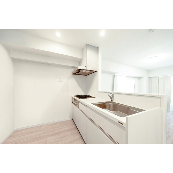 エンゼルハイム石神井公園壱番館 その他画像