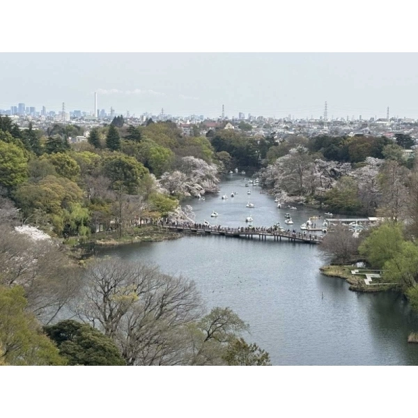 メゾン井の頭 その他画像
