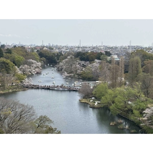 メゾン井の頭 その他画像