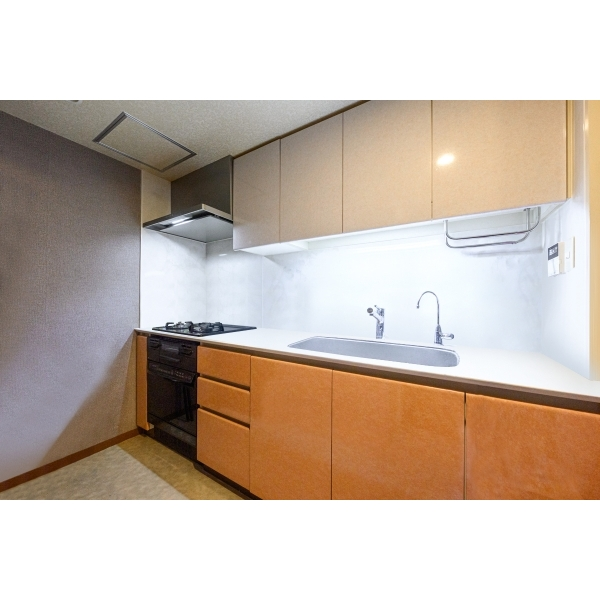 グレーシア湘南ライフタウン その他画像